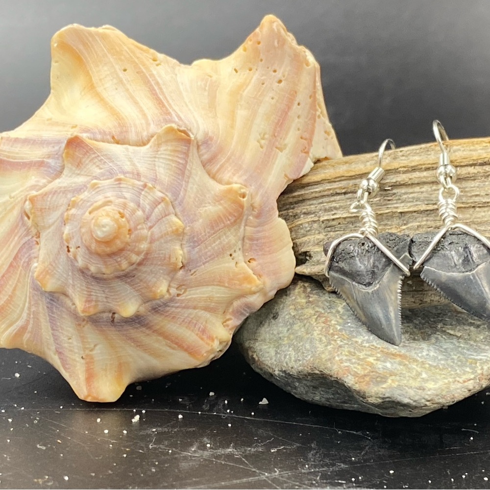 Elegant Silver Shark Tooth Earrings